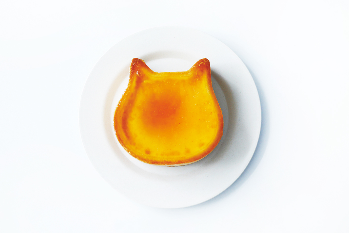 ねこねこチーズケーキ